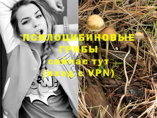 дурь Алексин