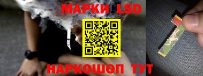 амф Заволжье