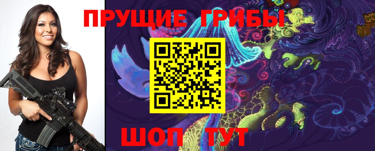 Псилоцибиновые грибы прущие грибы Каменка