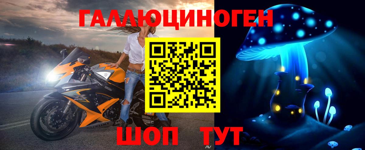 Каменка  Псилоцибиновые грибы Psilocybe  Вход с VPN 